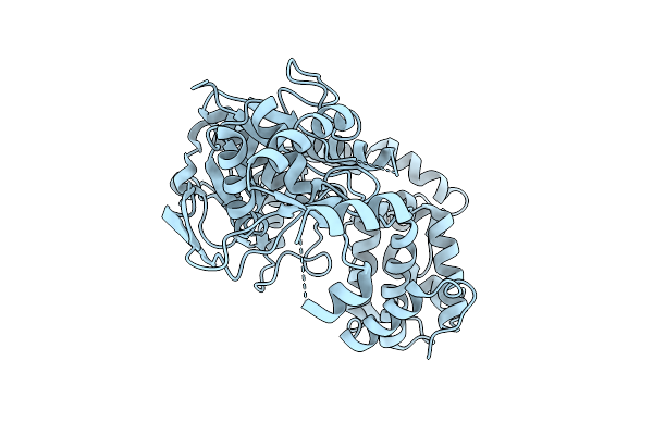 9Z2X image