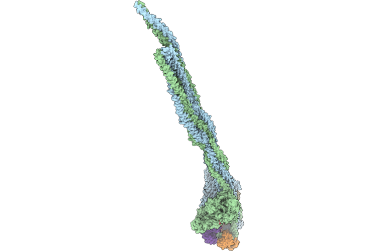 9Z40 image