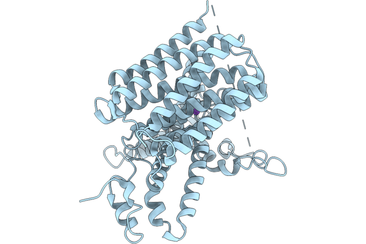 9Z4I image