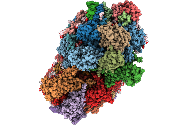 9Z6A image