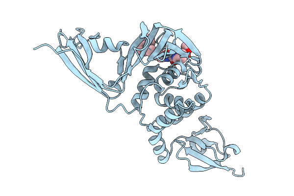 9Z6B image