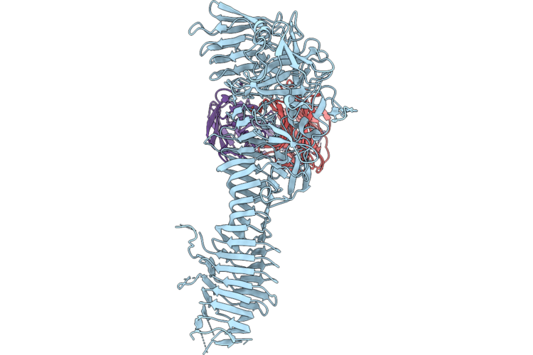 9Z7A image
