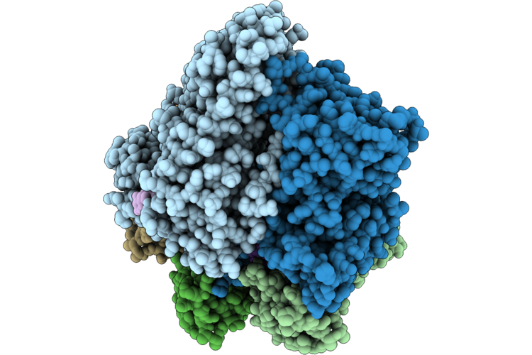 9Z7X image