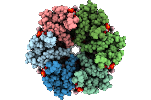 9Z9B image
