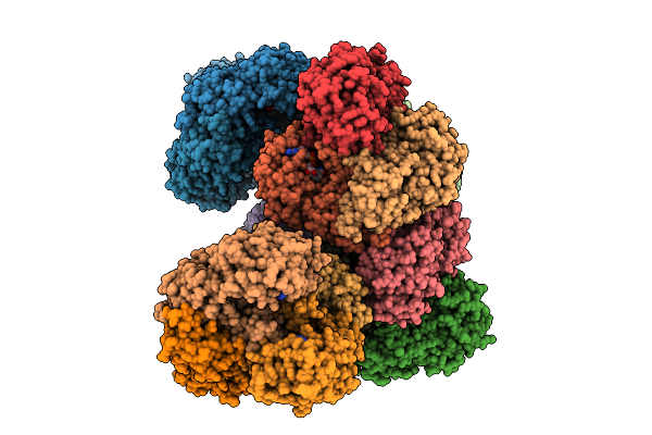 9Z9C image