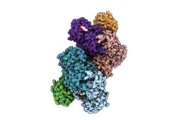 9ZAG image