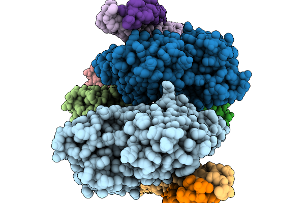 9ZBL image