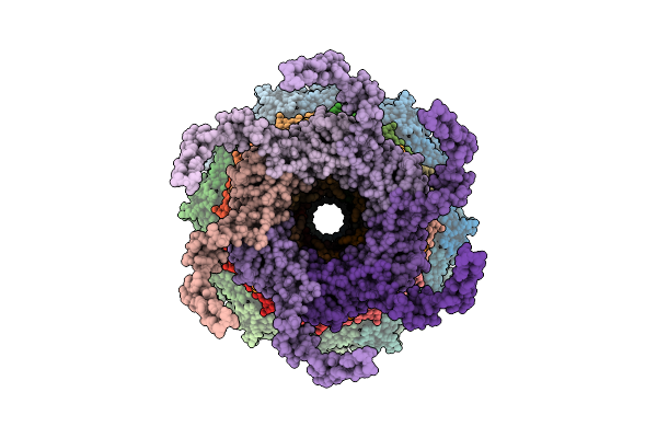 9ZBS image