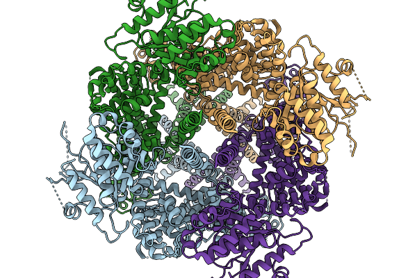 9ZCN image