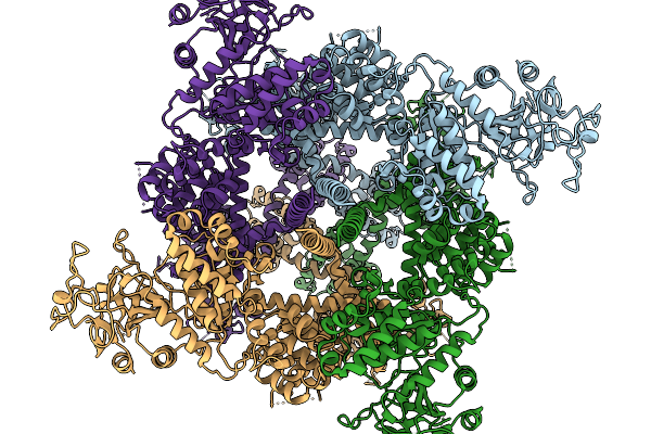 9ZCV image