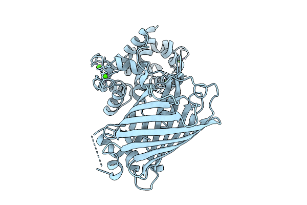 9ZDG image