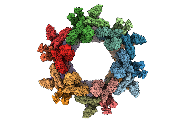 9ZDK image