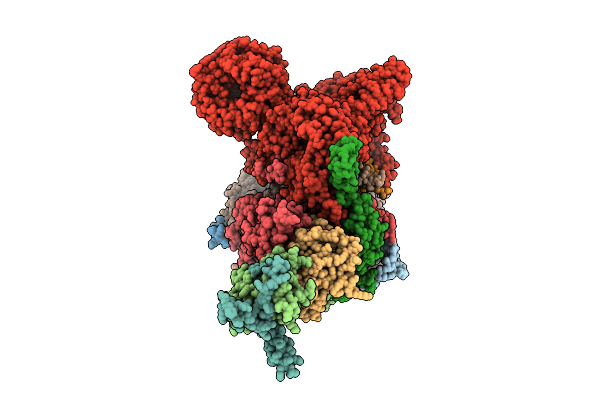 9ZEC image