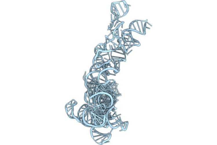 9ZF9 image