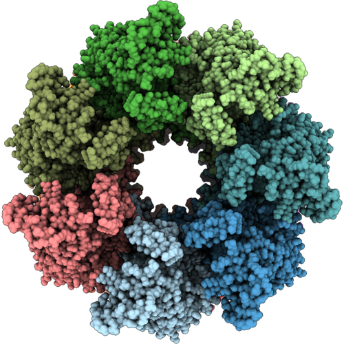 9ZFR image
