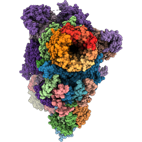 9ZFT image