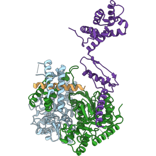 9ZFV image