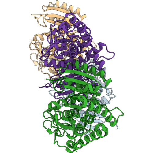 9ZFX image