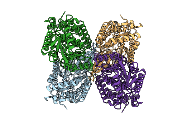 9ZH8 image