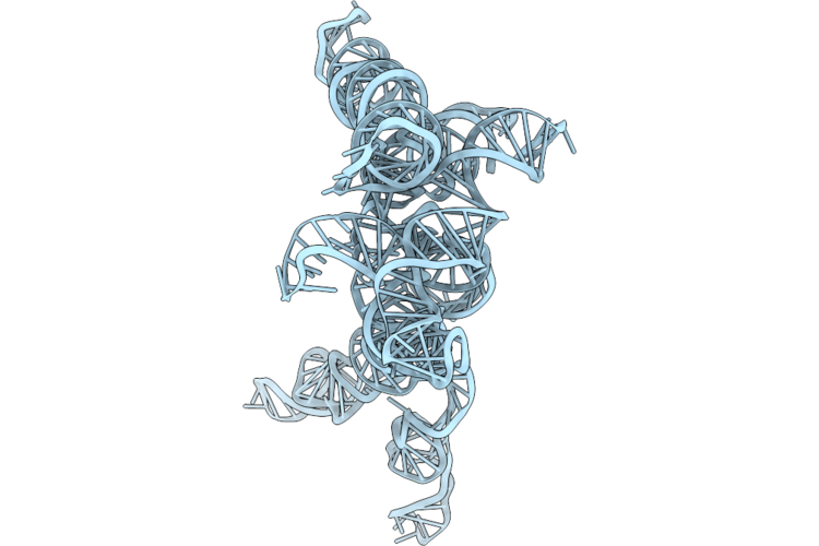 9ZHO image