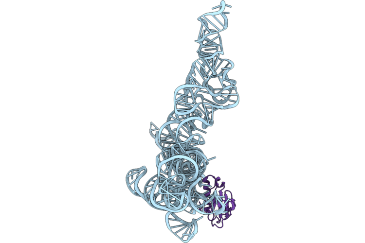 9ZIL image
