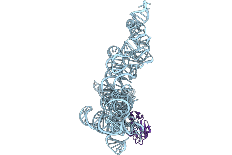 9ZIX image
