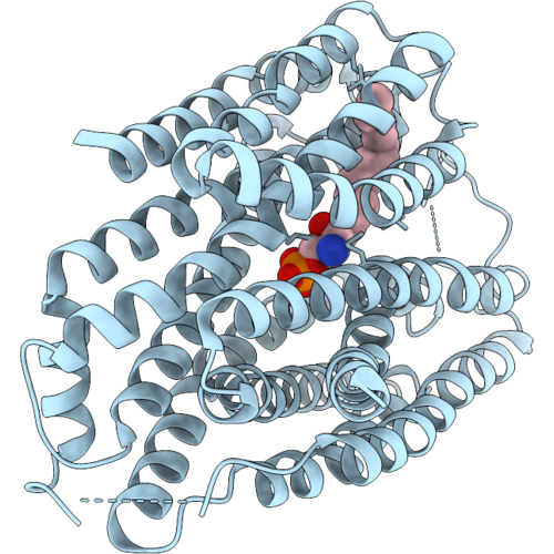 9ZLV image