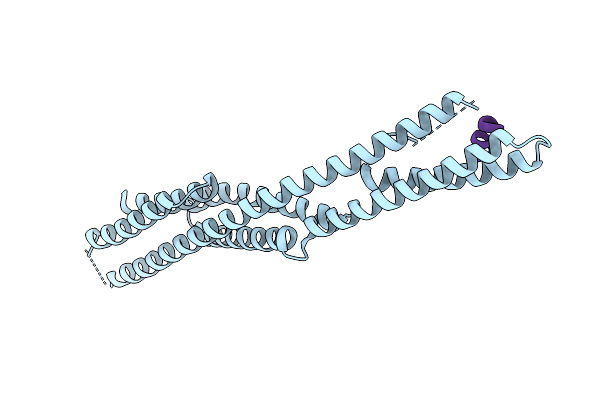 9ZM0 image