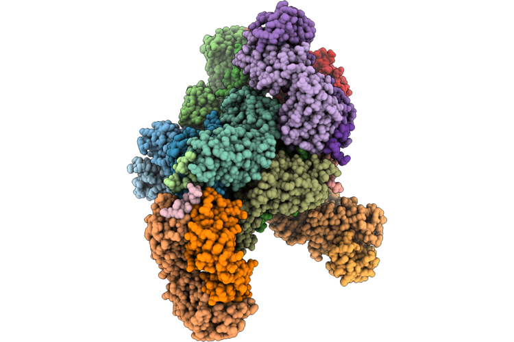 9ZM7 image