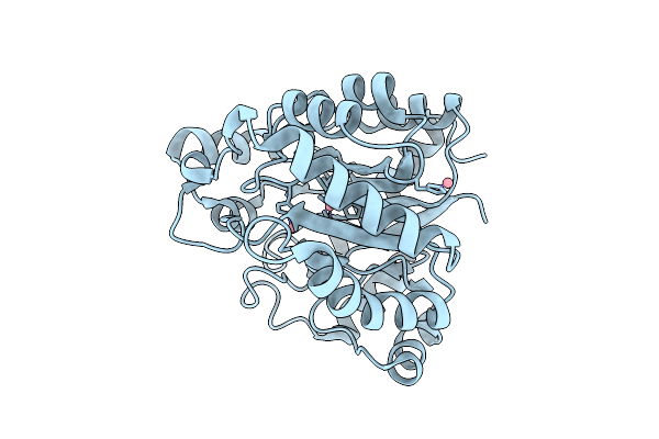 9ZMX image