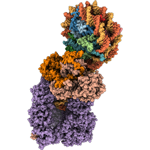 9ZOB image