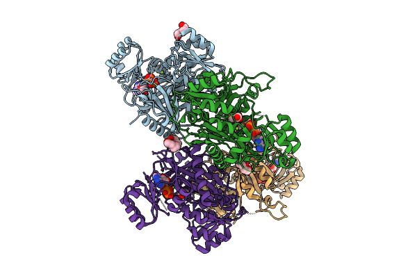 9ZOI image