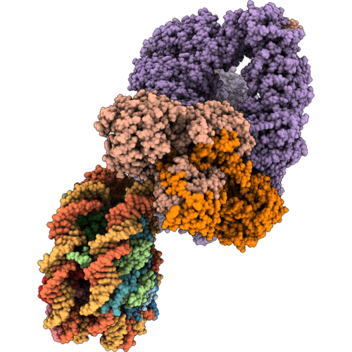 9ZP9 image