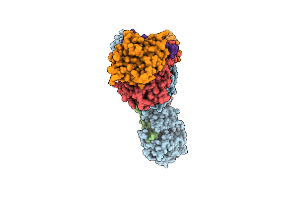 9ZPD image