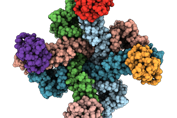 9ZPT image