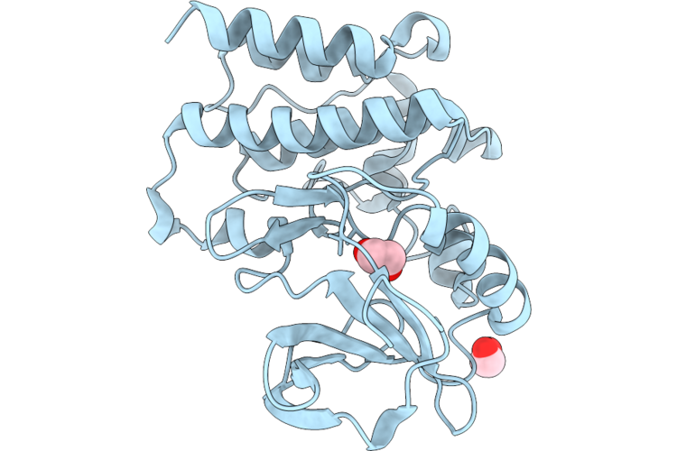 9ZQV image