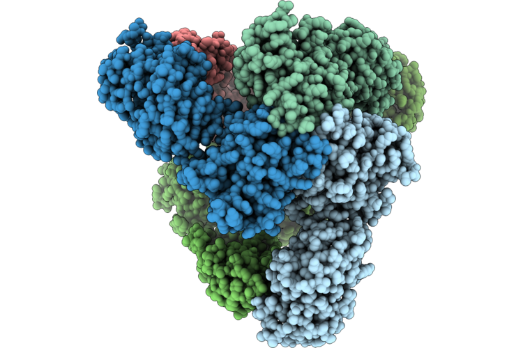 9ZRJ image