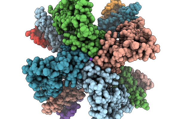 9ZRL image