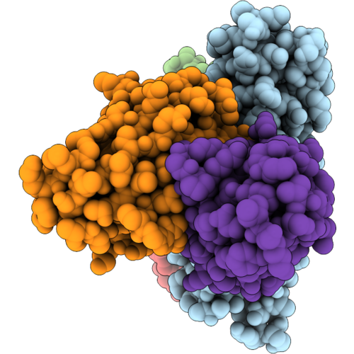 9ZRS image