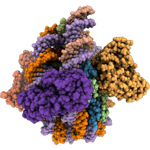 9ZSG image