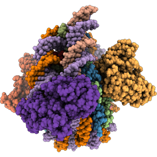 9ZSP image