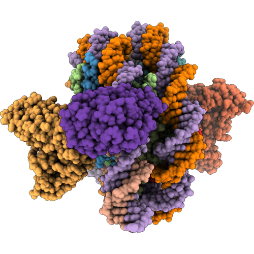 9ZSS image