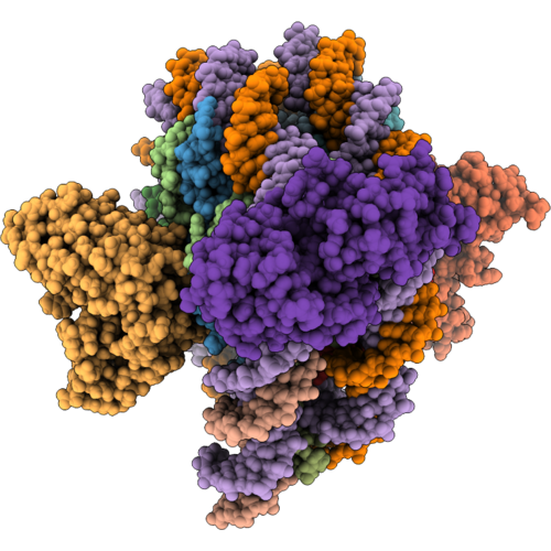9ZSW image