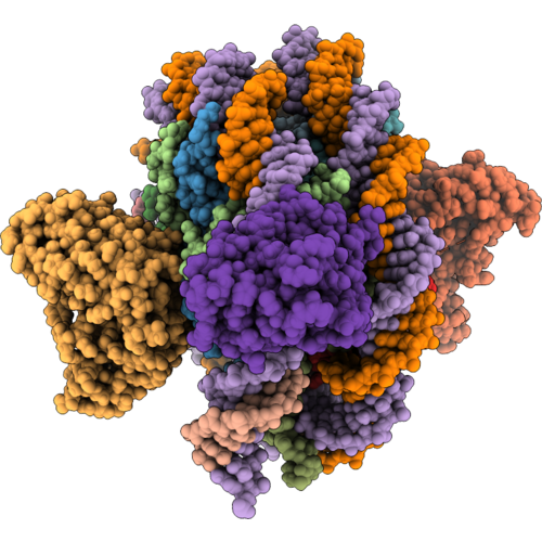 9ZSX image