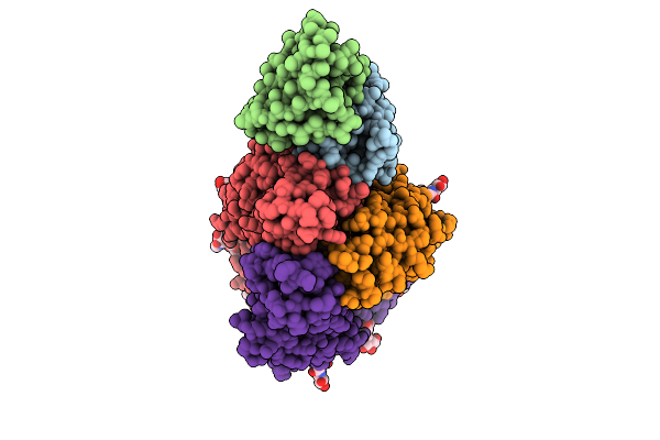 9ZT5 image