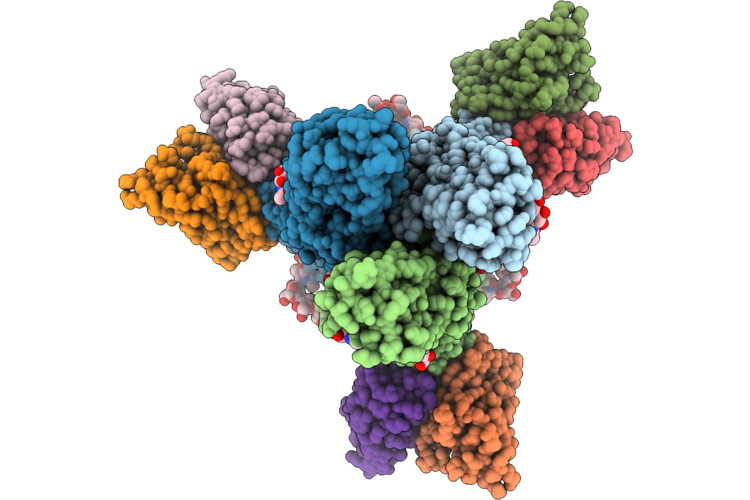 9ZVH image