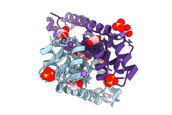 9ZVU image