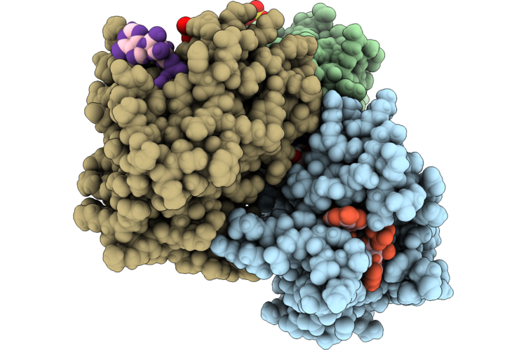 9ZWS image