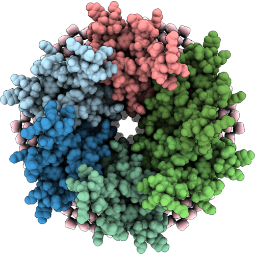 9ZXX image