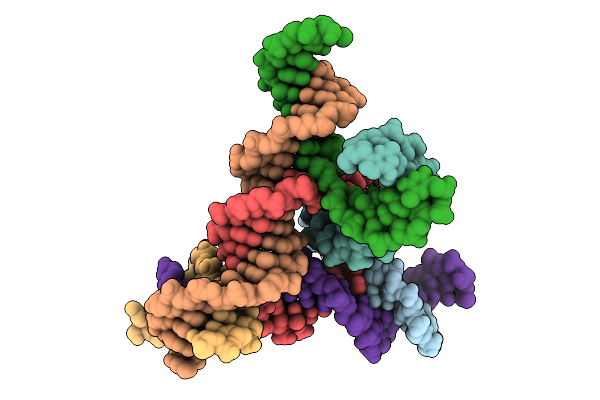 9ZYV image